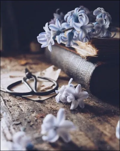 Quel poète est l'auteur de ces vers : "L'aube est moins claire, l'air moins chaud, le ciel moins pur, le soir brumeux ternit les astres de l'azur" ?