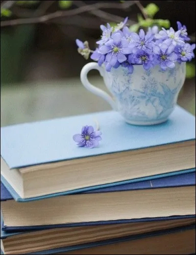 Qui est l'auteur de "Soleils couchants" extrait de ses "Poèmes saturniens" ?