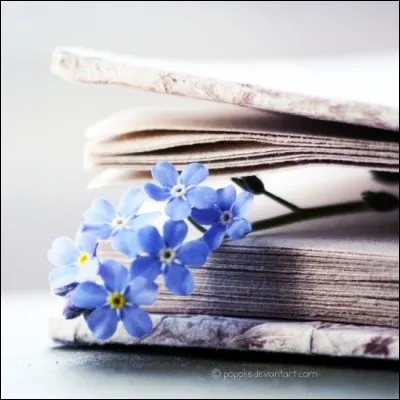 Retrouvez le recueil de Victor Hugo :