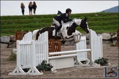 Quelles sont ses disciplines de prédilection ?