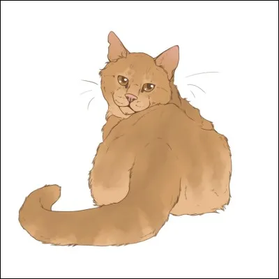 Comment se nomment les chatons de Griffe de Tigre et Bouton d'Or ?