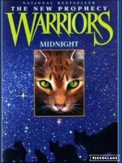 Dans le livre "Minuit", on apprend qu'Étoile du Tigre est le père de deux chats du Clan de la Rivière. Comment s'appellent-ils ?