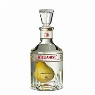 Quel est le pays d'origine de la williamine ?