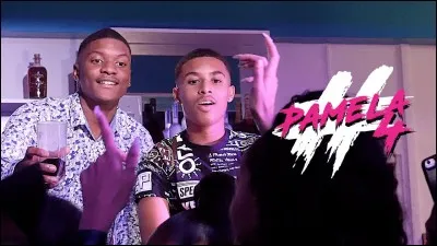 Quel est l'avant dernier clip qu'il ont fait ?