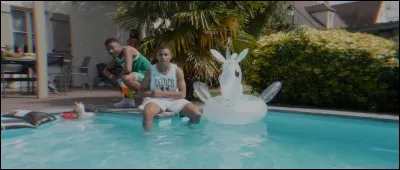 Ont-ils déjà fait des concerts ?