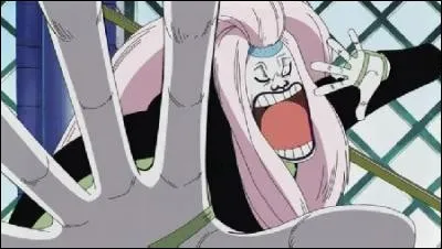 Ce fameux membre du CP9, qui est-ce ?