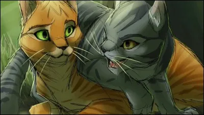 Quel est le nom de guerrier d'Étoile de Feu ?