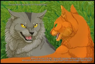 Pourquoi Cur de Feu et Plume Grise se disputent-ils dans ce livre ?