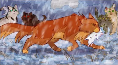 Quel est le nom du chaton qu'elle confie à son frère ?