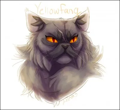 A la fin de la la bataille, quel secret Croc Jaune révèle-t-elle à Cur de Feu ?