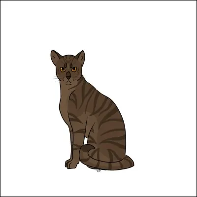 Quel est le nom de guerrier de Nuage de Poussière ?