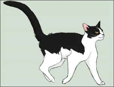 Qui est le chef du Clan du Vent ?