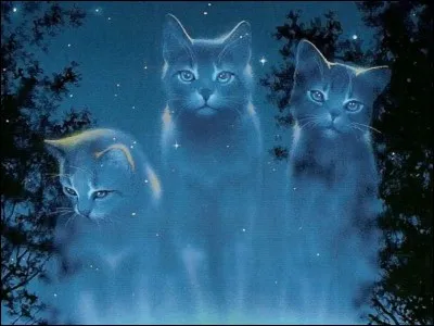 Quel message Écorce de Chêne reçoit-il de la part du Clan des Étoiles ?