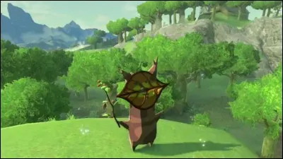 Que faut-il faire pour trouver un Korogu ?