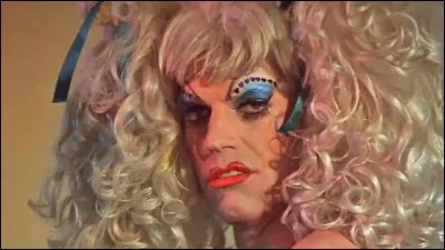 Complétez le titre de ce film australien de 1994. "---------, folle du désert".