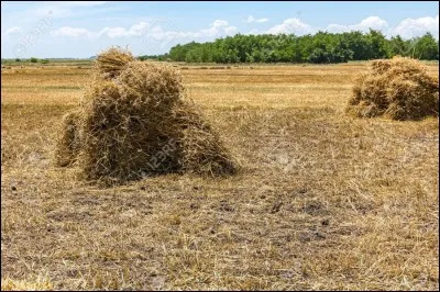 Pour devenir une pélerine, on doit changer la lettre...
