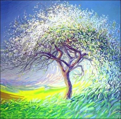 Que reprsente cette image ?