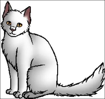 Quel nom porte leur chaton ?