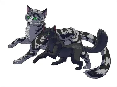 Quel(s) chat(s) a-t-elle entraîné(s) ?