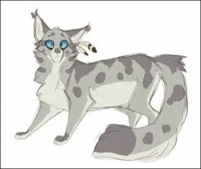 Quelle prophétie Plume d'Oie révèle-t-il à Étoile Bleue alors qu'elle n'est qu'une novice ?