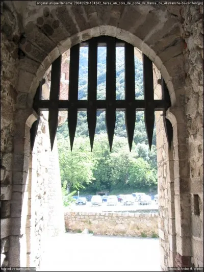 Mets d'abondance, c'est l'...