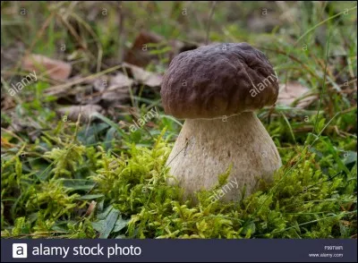 À son age, il est fixé, c'est le...