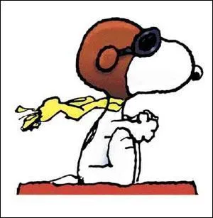 De quelles couleurs est la niche de Snoopy ?