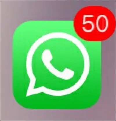 À quoi sert cette application ?