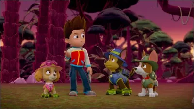 À quel temps le verbe "choisir" est-il conjugué dans "vous aviez choisi" ?