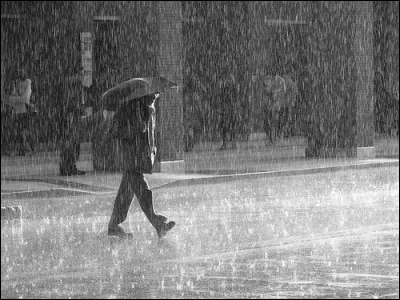 Quel est le participe passé du verbe "pleuvoir" ?