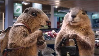 Pour le chocolat Milka, "Et la marmotte, elle met le chocolat dans le papier ..."