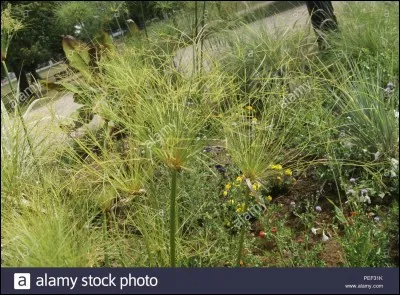 "À quoi ça sert que Ducros, il se ..."