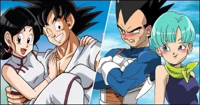 Qui est la femme de Vegeta ?