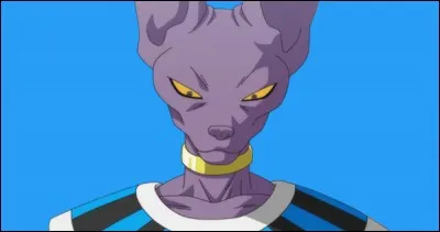 Que cherche le seigneur Beerus quand il arrive la première fois sur Terre ?