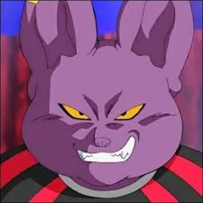 Comment se nomme le frère jumeau de Beerus ?