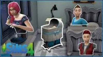 Dans les sims Tiboudounette, combien d'enfants a-t-elle ?