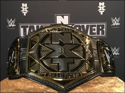 Lors du show "NXT Takeover Orlando", qui a remport&eacute; le match par &eacute;quipe pour obtenir les nouveaux titres par &eacute;quipe ?