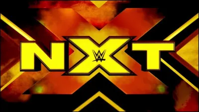 Qui gouverne NXT en tant que champion &agrave; la fin de 2019 ?