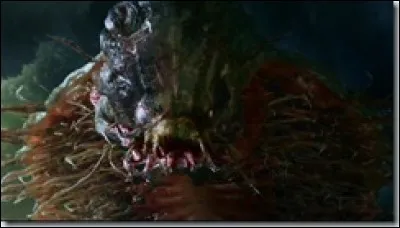 Quelle est cette créature ?