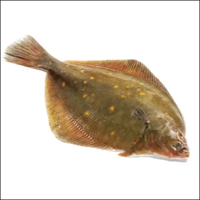 Qui se sert de ce poisson ?