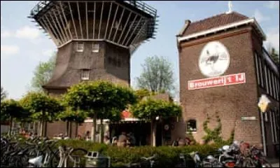 On se réfère à la Brouwerij en disant la brasserie moulin à vent : ajoutez à cela que bien des clients s'y arrêtent en vélo… Il y a quelque chose de magique à consommer dans une telle structure : on y offre aussi de la bière à haut % d'alcool. Je vous conseille de ne pas mélanger la Columbus avec la randonnée à vélo. Les habitués traitent de ''spinmilled'' ceux qui en prennent trop. 
Où est-on ?