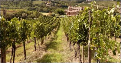 Car la vie toujours rassemble - Oui la vie toujours rassemble !