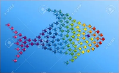 On peut avoir un animal de compagnie