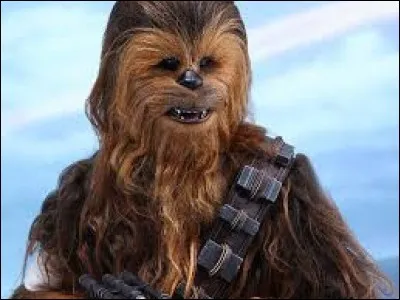 Quel acteur de 2,18 m s'est surtout fait conna&icirc;tre par son r&ocirc;le de Chewbacca dans la saga Star Wars ?