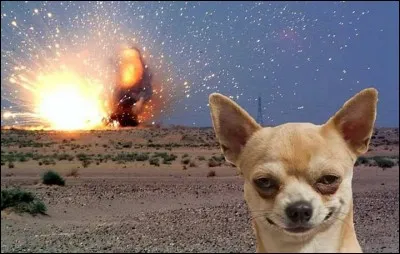 T'arrive-t-il de reprendre tes parents car ils font mal les choses selon toi ?