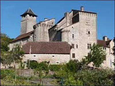 Je vous propose de partir en Occitanie à la découverte du château Salvagnac-Cajarc. Commune de l'arrondissement de Villefranche-de-Rouergue, elle se situe dans le département ...