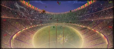Après ces mésaventures, Harry revient pour une 4e année mais avant la rentrée, il rejoint les Weasley pour assister à la fameuse Coupe du monde de quidditch ! Qui a remporté la finale ?