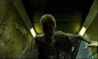 Le début de la 5e aventure se retrouve mouvementé par l'attaque de Harry et Dudley par des détraqueurs. Mais qui les a envoyés ?