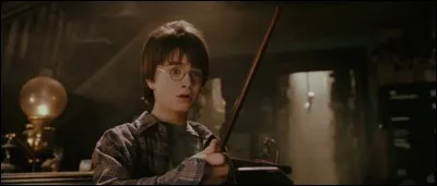 Quelques années plus tard, Harry Potter recevra sa lettre pour Poudlard ! Hagrid vient le chercher sur une île et l'emmène au Chemin de Traverse où il découvrira la banque de Gringotts mais aussi le magasin d'Ollivander. Mais de quoi est faite sa baguette ?