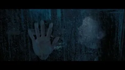 De retour pour une troisième année, Harry se fait attaquer dans le Poudlard Express par un Détraqueur. Qu'est-ce qui est faux à propos des Détraqueurs ?